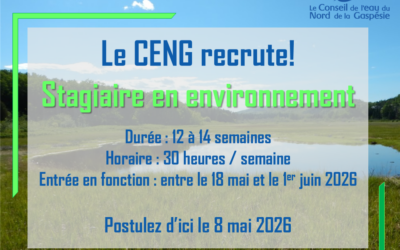 Offre d’emploi: Stagiaire en environnement