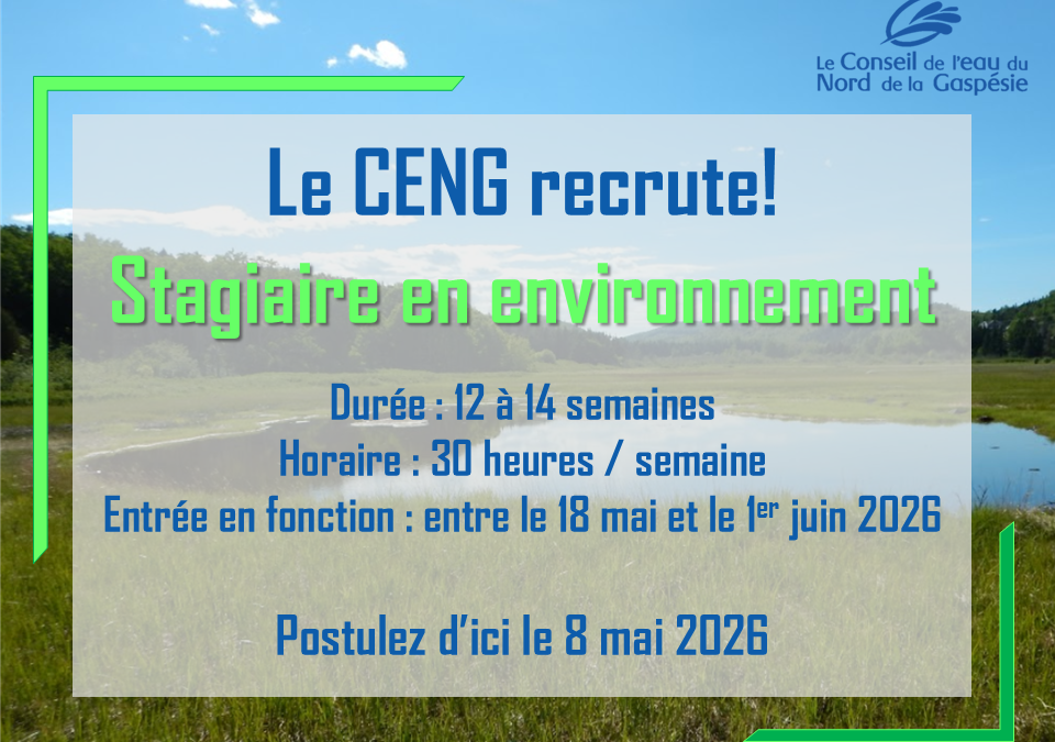 Offre d’emploi: Stagiaire en environnement