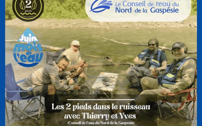 Balad’eau Les 2 pieds dans le ruisseau