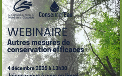 Webinaire sur les AMCE