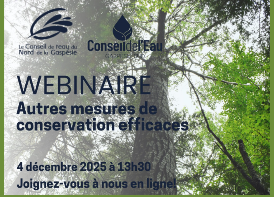 Webinaire sur les AMCE