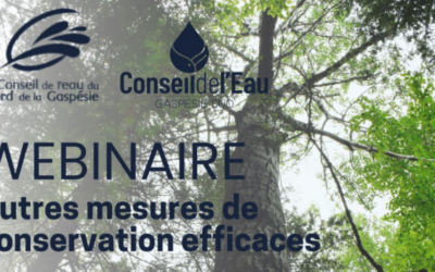 Webinaire sur les AMCE