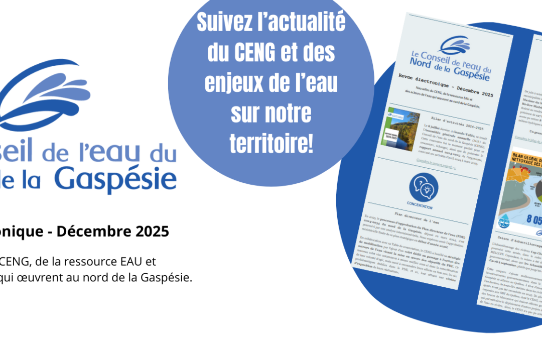 Revue électronique décembre 2025