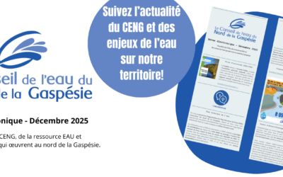 Revue électronique décembre 2025