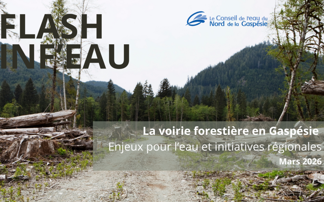 La voirie forestière en Gaspésie : Enjeux pour l&rsquo;eau et initiatives régionales