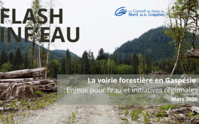 La voirie forestière en Gaspésie : Enjeux pour l&rsquo;eau et initiatives régionales